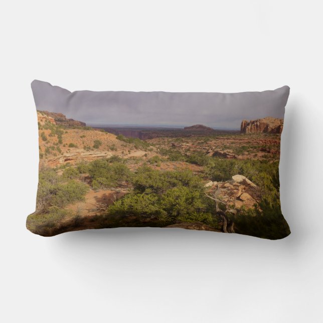 Neck Springs Trail at Canyonlands National Park Lumbar Pillow