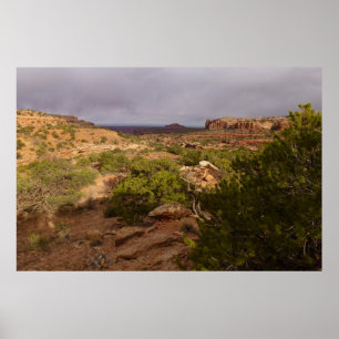 Neck Springs Trail at Canyonlands National Park Poster
