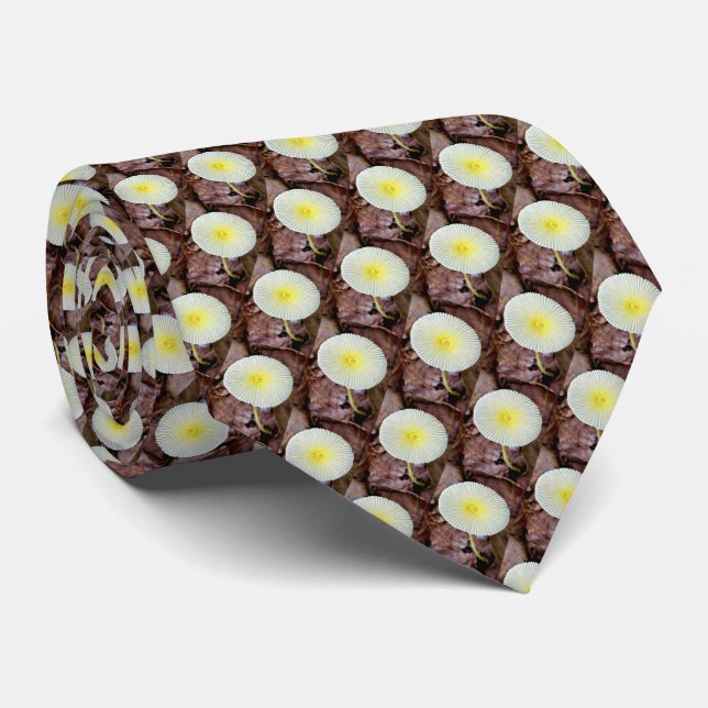 Neck tie / mushroom (Rolled)