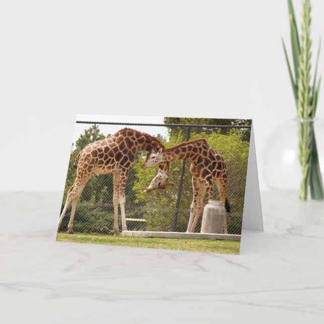 necking giraffe card (Front)