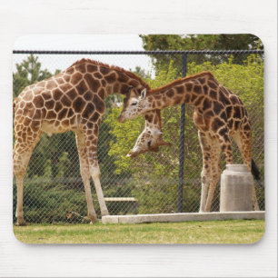 necking giraffes mouse pad
