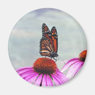 Nectar doux - aimant