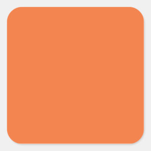 Nectarine Orange Trend Colour Customized Template Square Sticker