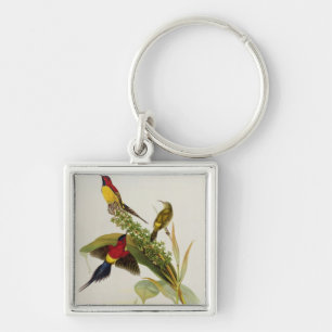 Nectarinia Gouldae Keychain