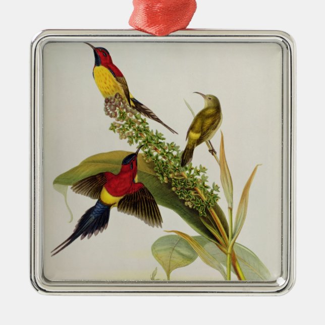 Nectarinia Gouldae Metal Ornament (Front)