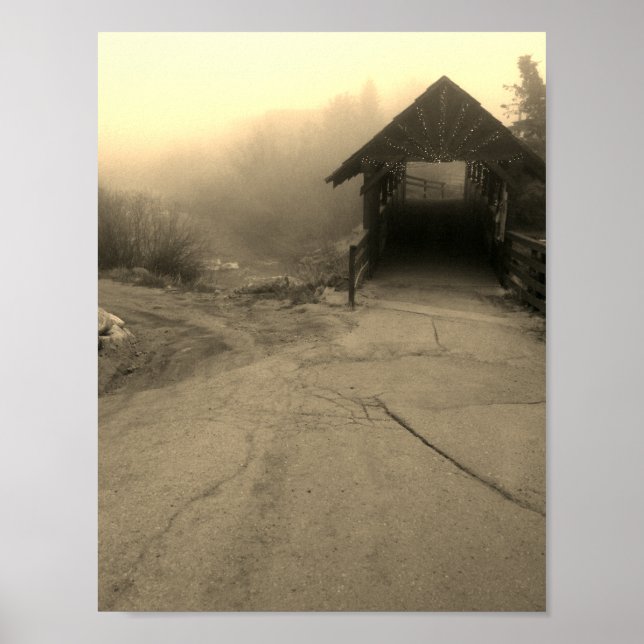 nederland walking bridge poster (Front)