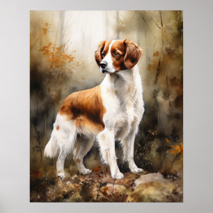 Nederlandse Kooikerhondje Chien Art Poster