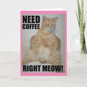 NEED COFFEE RIGHT MEOW! Manx Cat Sitting Funny Card