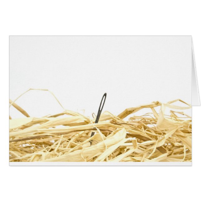 needle in a haystack (Front Horizontal)