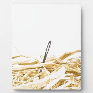 needle in a haystack plaque