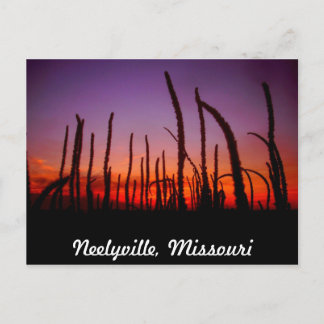 Neelyville Missouri Postcard