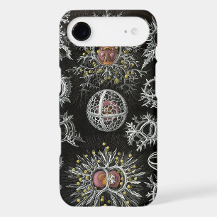 Négatif Haeckel