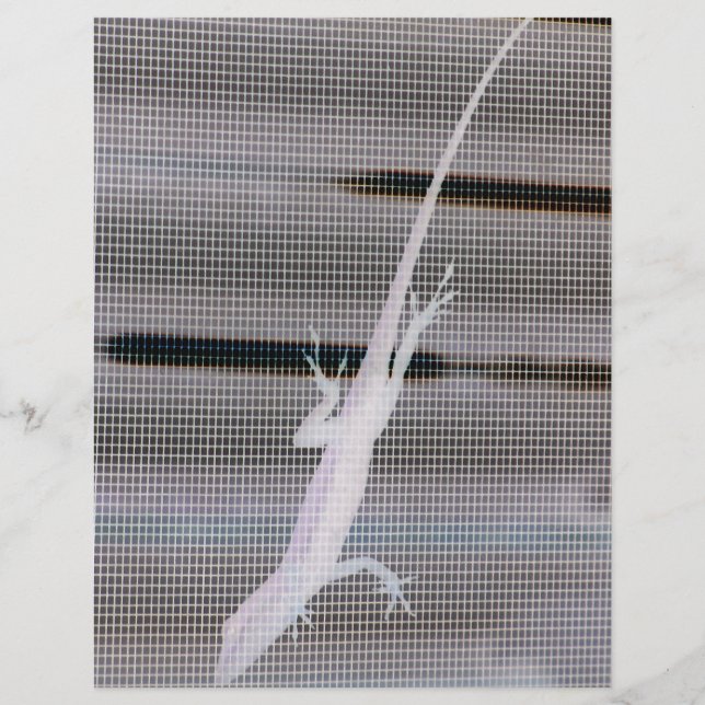 Negative image of a lizard on a window screen (Front)
