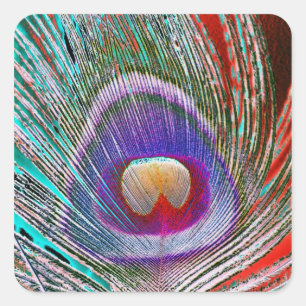 Negative Peacock Feather Square Sticker