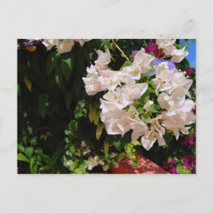 Negril, Jamaica Postcard