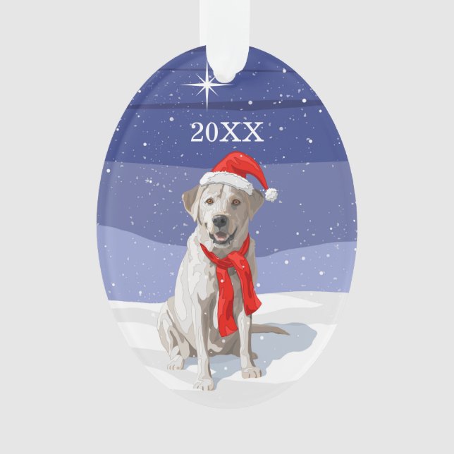 Neige Blanc Labrador Retriever Santa Hat & Scarf (devant)