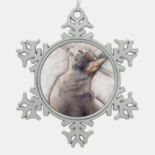 Neige Chat gris de smoking en ornement de flocon de