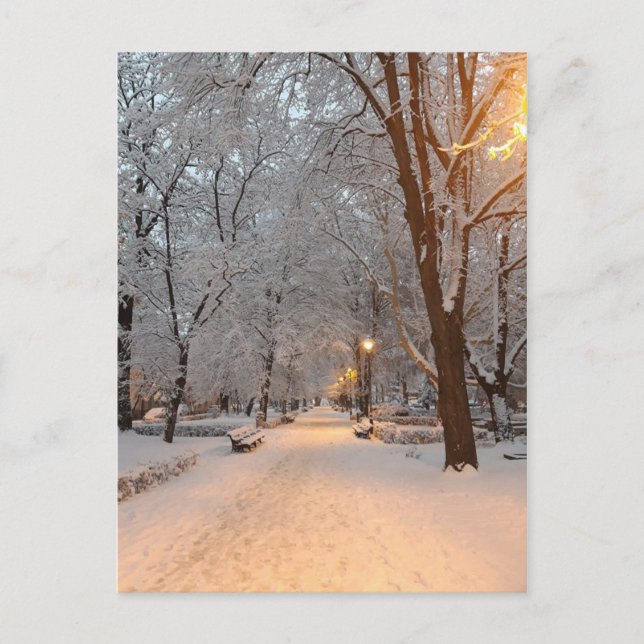 Neige d'hiver dans la carte de vacances de parc (Devant)