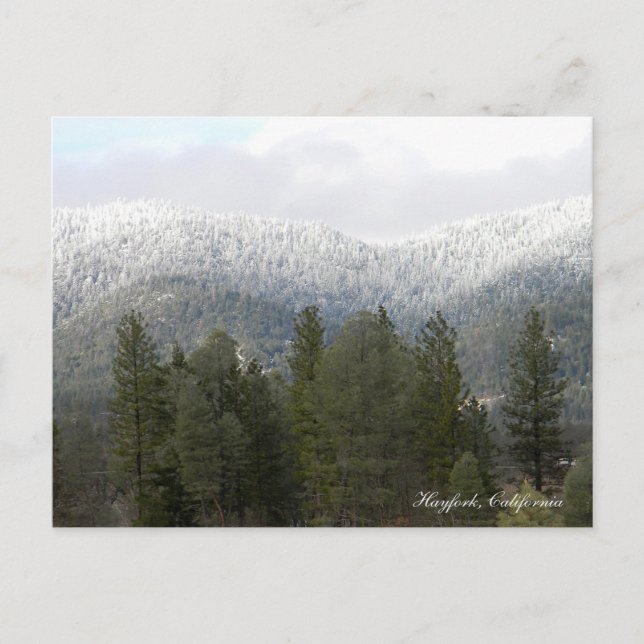 Neige fraîche en poudre.... Carte postale (Devant)