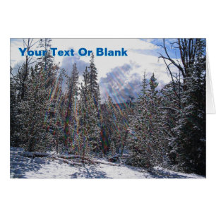 Neige Fraîche Sur Foudre Rapide