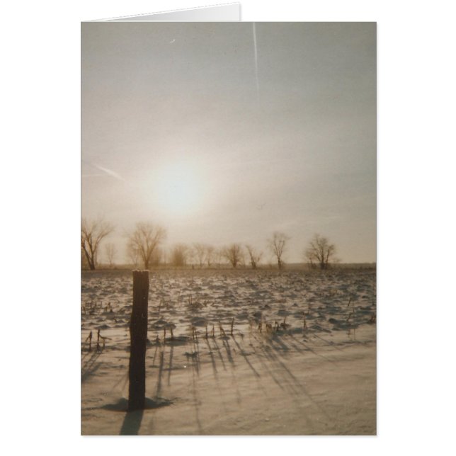 Neige hivernale (Devant)