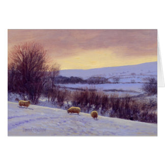 Neige I de soirée par Donna Crawshaw