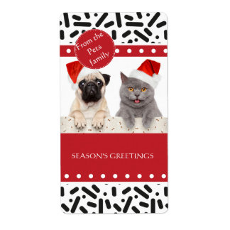 Neige - Noël Stationnaire et cadeaux