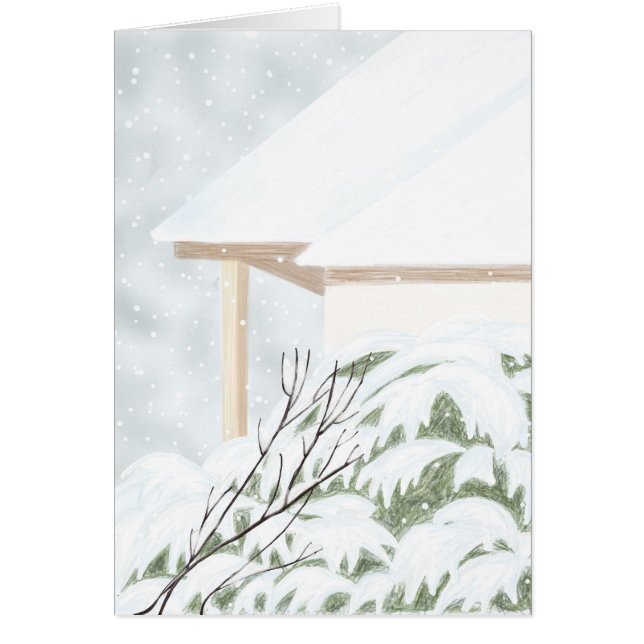 Neige sur le genévrier Bush (Devant)