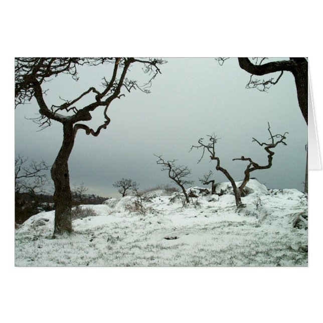 Neige sur le pré de chêne de Garry (Devant horizontal)