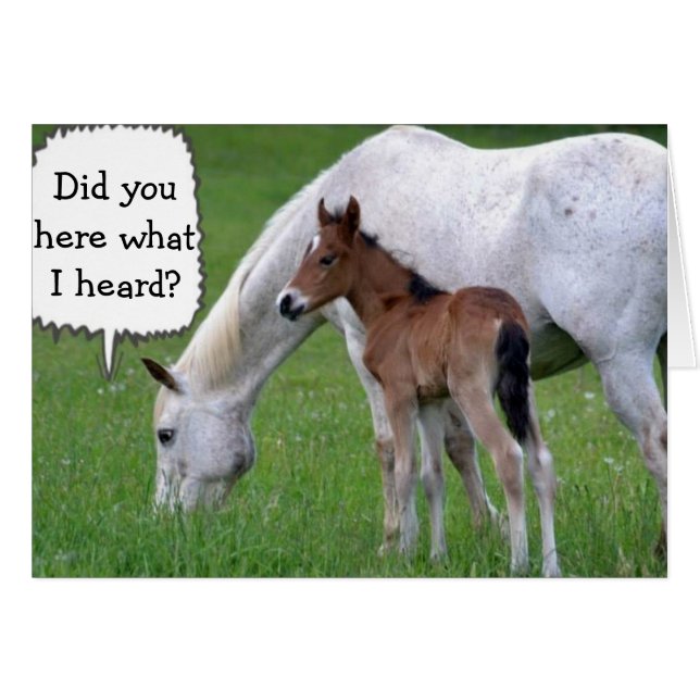 NEIGH, VOUS NE POUVEZ PAS ÊTRE "30" DIT PONY ET CH (Devant horizontal)