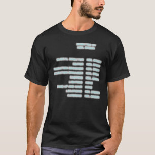 Neil Breen Credits Classic T-Shirt