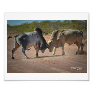 Neil Jones Photography - King of the Road. Photo Print