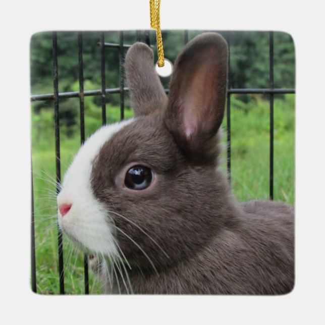 Neitherland Dwarf Pet Bunny Rabbit Ceramic Ornament (Front)