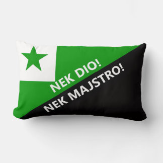 Nek dio nek majstro lumbar pillow