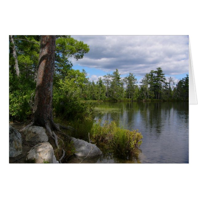 nelligan lake (Front Horizontal)