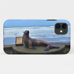 Nelscott Reef, Lincoln City, Oregon iPhone 11 Case