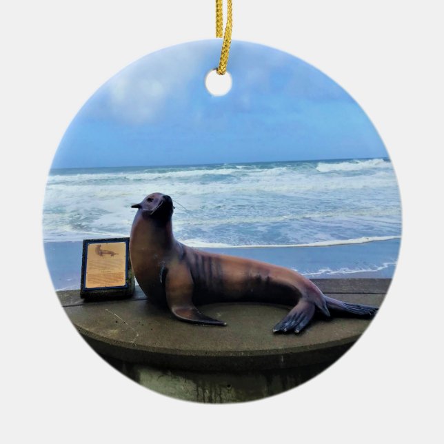 Nelscott Reef, Lincoln City, Oregon Ceramic Ornament (Front)