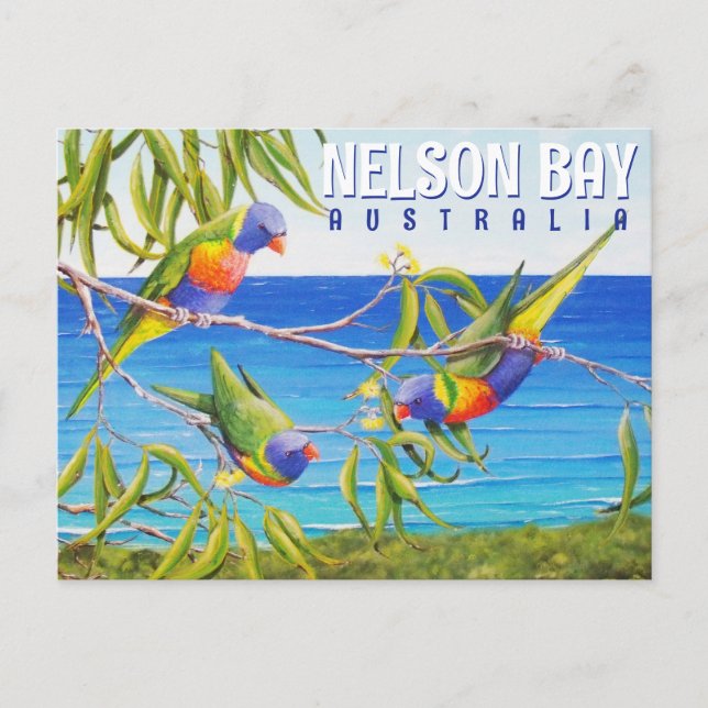 Nelson Bay Australia Birds Lorikeet Beach Painting Postcard (Front)