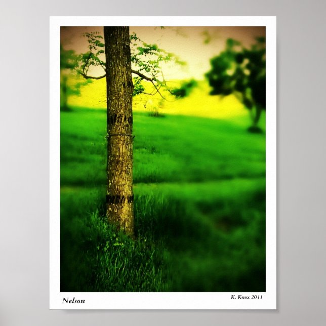 Nelson Poster (Front)