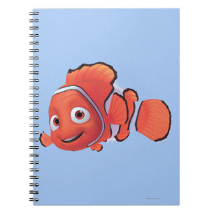 Nemo 3 notebook