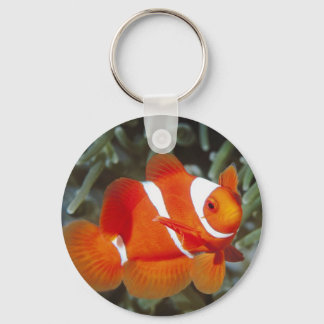 nemo fish keychain