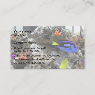Nemo With His Gang Business Card