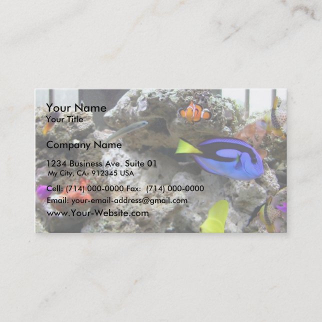 Nemo With His Gang Business Card (Front)