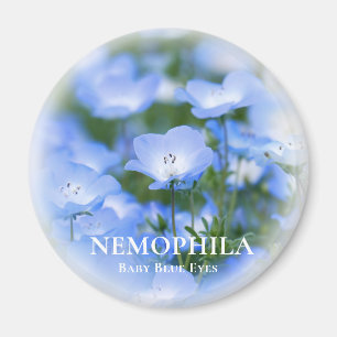 NEMOPHILA(Baby Blue Eyes) Magnet