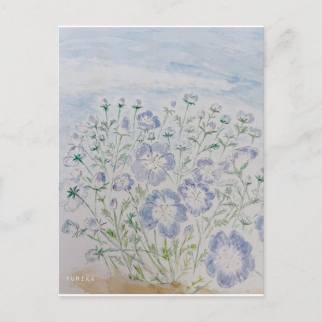 nemophila postcard (Front)