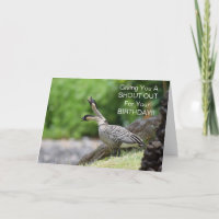 Nene Goose