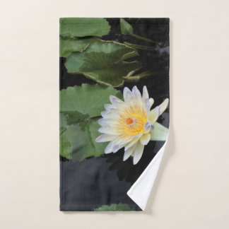Nénuphar