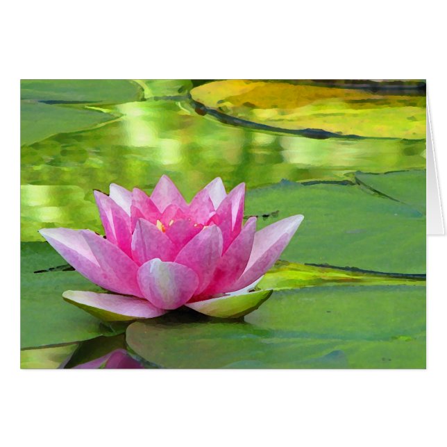 Nénuphar (Devant horizontal)