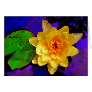 Nénuphar jaune
