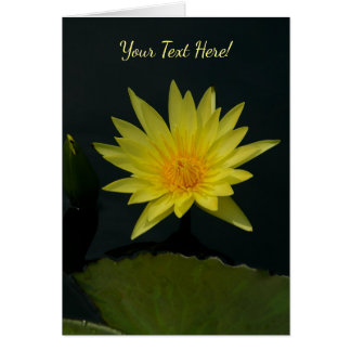 Nénuphar Lotus jaune